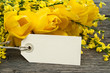 tulpen