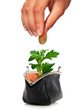Plant and purse.