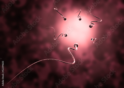 Illustration: sperm and egg cell - Natural insemination - sperm and egg cell - Natural insemination -