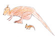child's drawing - Australian kangaroo