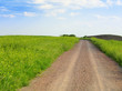 Summer landscape with green grass, road and clouds