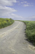 Road in field
