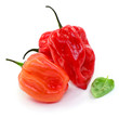 Paprika