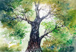 green tree