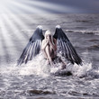 Photo: woman with dark angel wings woman with dark angel wings