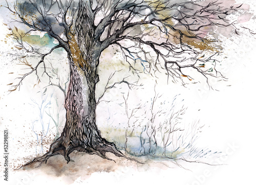 Illustration: old tree old tree