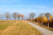 bike road in autumn sunny day