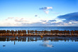 old wooden breakwater in North sea