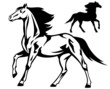 Vector: running horse vector outline and silhouette running horse vector outline and silhouette