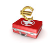 Symbol of euro on a medical suitcase.