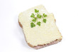 croque-monsieur
