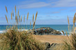 Sable d'or