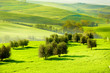 Countryside, San Quirico d`Orcia , Tuscany, Italy