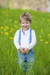Foto: Kleiner Junge in einer Wiese Kleiner Junge in einer Wiese