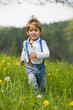 Foto: Kleiner Junge in einer Wiese Kleiner Junge in einer Wiese