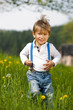 Foto: Kleiner Junge in einer Wiese Kleiner Junge in einer Wiese