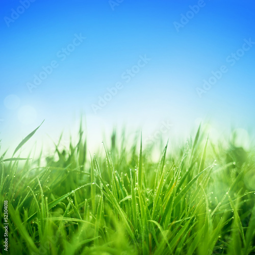 Photo: Fresh Grass Fresh Grass