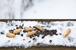 Winter Feed