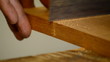 Luthier, carpenter, craftsman, cutting wood with hacksaw