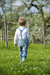 Foto: Kleiner Junge Kleiner Junge