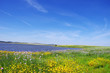 Field at spring time, near alqueva lake