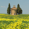 fantastic tuscan landscape,Chapel of Madonna di Vitaleta