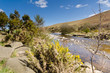 Breamish Valley in spring