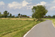 Coppia sullo sfondo cammina su strada di campagna