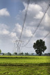 Elettrodotto in campagna