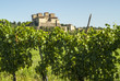 Castle of Torrechiara and vineyard
