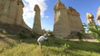 Photographer shooting in nature