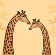 Giraffes