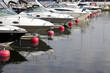 boats in the port