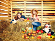 Harvest Home