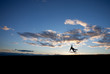 Photo: silhouette of man jumping in sky silhouette of man jumping in sky