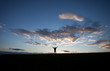 silhouette of man standing on field in front of blue sky