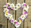Photo: Romantik im Frühling: Herz aus Margeriten Romantik im Frühling: Herz aus Margeriten