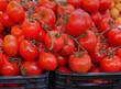 Fresh tomato