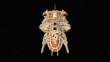 宇宙船