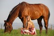 Foto: Reiten Reiten