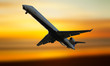 Airplane flying