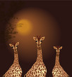 Giraffes
