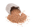 Buckwheat isolated on white background