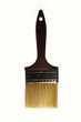 Paintbrush