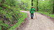 Video: Waldspaziergang Waldspaziergang