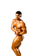 bodybuilder