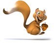 Illustration: Fun squirrel Fun squirrel