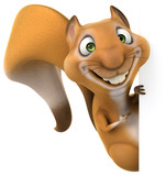 Fun squirrel