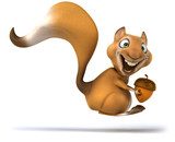 Fun squirrel