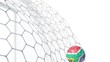 South Africa Ball Scores in Slow Motion